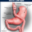 Provided by Upper Chesapeake Bariatric Surgery, Havre De Grace 