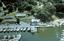 Provided by Duffy Creek Marina, Georgetown 
