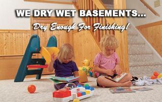 Mr Basement - White Marsh, MD