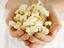 Provided by Grand Rapids Popcorn Co Inc, Comstock Park 