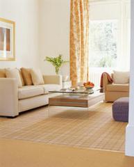 Central Carpet Cleaning - Vulcan, MI