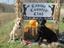 Provided by Canine Country Club, Elko 