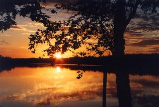Bearcove Resort - Hackensack, MN