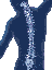 Kruse Clinic of Chiropractic