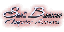 Provided by Small Business Computer Systems, Barnum 