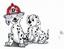 Dalmation Carpet Care