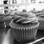 Divino Gelato Cafe