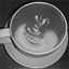 Moxie Java