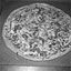 Angie S Pizzaria