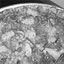 Pizza Daze