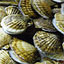 To change this image, claim your business on MerchantCircle