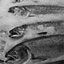 To change this image, claim your business on MerchantCircle
