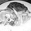 Crab Creek Seafood Restaurant 