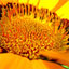 To change this image, claim your business on MerchantCircle