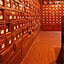 Blooming Lotus Healing Center