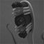 Oral & Maxillofacial Imaging Center