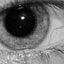 Midlands Vision Associates