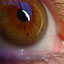 To change this image, claim your business on MerchantCircle