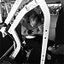 InterActive Fitness