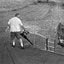 Lighthouse Lawn Care
