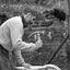 Hendershott Carpentry