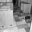 Bauer/Clifton Interiors