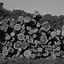 Hahn Machinery Inc