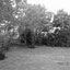 The Bloomin Place