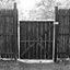 Dog Guard Out of Sight Fencing