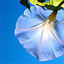 To change this image, claim your business on MerchantCircle
