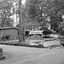 Tree Transplanters, llc