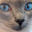 To change this image, claim your business on MerchantCircle