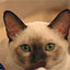 To change this image, claim your business on MerchantCircle