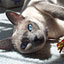 To change this image, claim your business on MerchantCircle