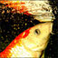 To change this image, claim your business on MerchantCircle