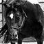 Bluegrass Boots & Saddles. To change this image, claim your business on MerchantCircle