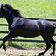 M-Bar-D Feed & Tack Shop