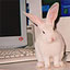To change this image, claim your business on MerchantCircle