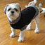 WOOF! Orlando The Pet Studio at College Park. To change this image, claim your business on MerchantCircle