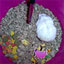 To change this image, claim your business on MerchantCircle