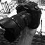 Images Photography Inc