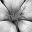 Aava Photography Company