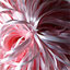 To change this image, claim your business on MerchantCircle