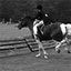 Coyote Ridge Stables