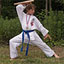 Millers Isshinryu Academy