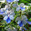 To change this image, claim your business on MerchantCircle