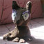 To change this image, claim your business on MerchantCircle