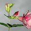 To change this image, claim your business on MerchantCircle