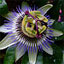 To change this image, claim your business on MerchantCircle