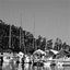 Dutton Travel Tours